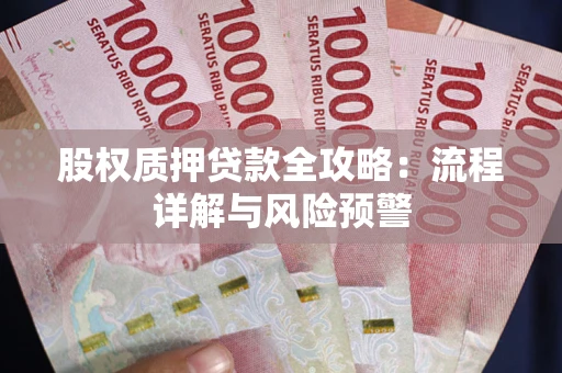 北京股权质押贷款全攻略：流程详解与风险预警