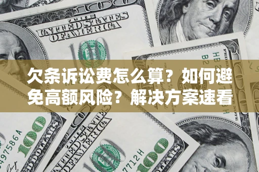 北京欠条诉讼费怎么算？如何避免高额风险？解决方案速看！