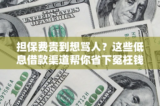 北京担保费贵到想骂人？这些低息借款渠道帮你省下冤枉钱