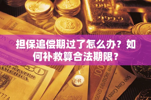 北京担保追偿期过了怎么办？如何补救算合法期限？