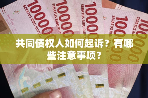 北京共同债权人如何起诉？有哪些注意事项？