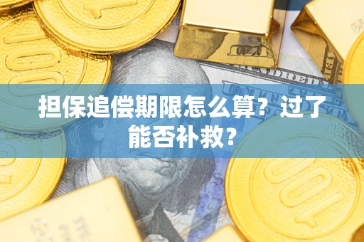 北京担保追偿期限怎么算？过了能否补救？
